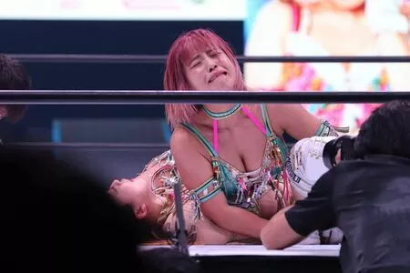 Mina Shirakawa / mina_shirakawa nude photo #1775