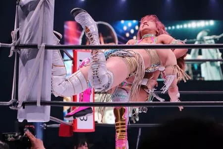 Mina Shirakawa / mina_shirakawa nude photo #1779