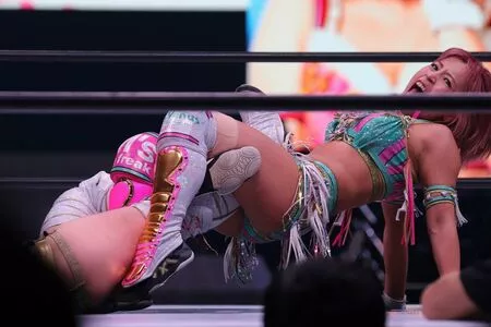 Mina Shirakawa / mina_shirakawa nude photo #1782