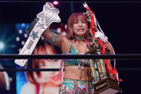 Mina Shirakawa / mina_shirakawa nude photo #1783