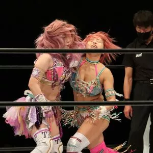 Mina Shirakawa / mina_shirakawa nude photo #1787