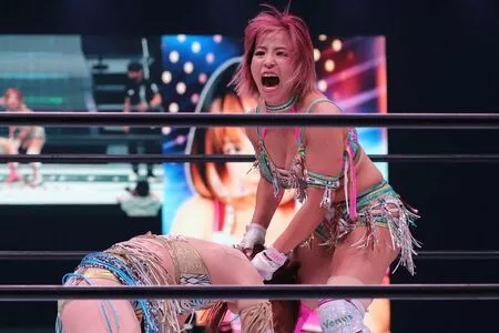 Mina Shirakawa / mina_shirakawa nude photo #1790