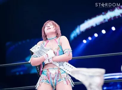 Mina Shirakawa / mina_shirakawa nude photo #1796