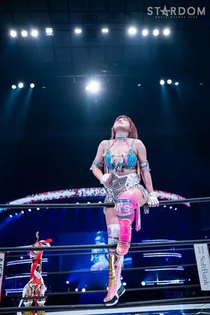 Mina Shirakawa / mina_shirakawa nude photo #1797