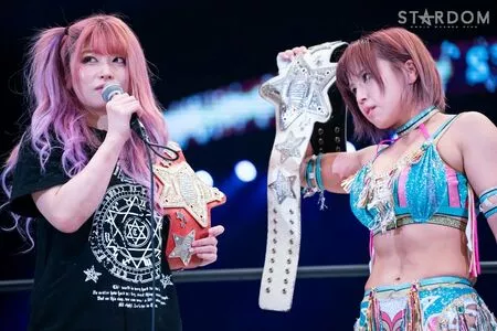 Mina Shirakawa / mina_shirakawa nude photo #1798