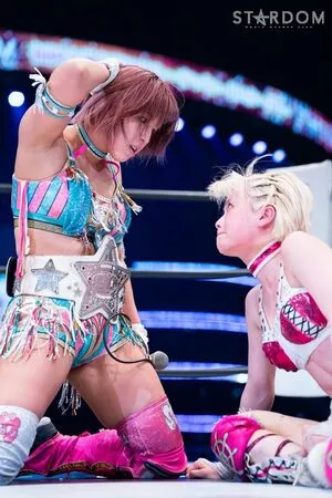 Mina Shirakawa / mina_shirakawa nude photo #1802