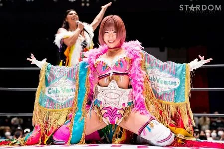 Mina Shirakawa / mina_shirakawa nude photo #1804