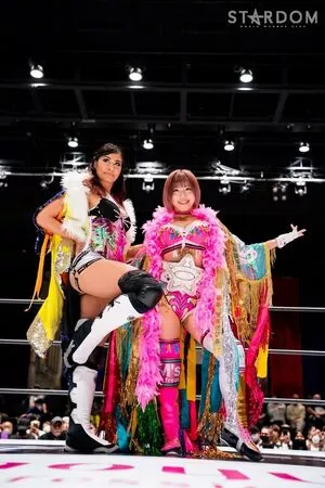 Mina Shirakawa / mina_shirakawa nude photo #1805