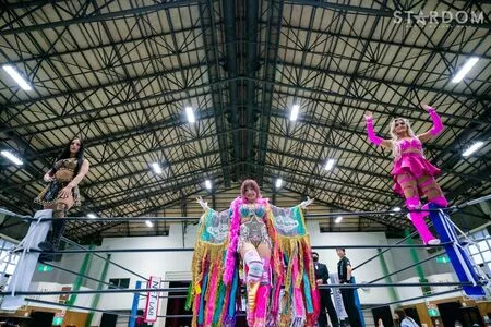 Mina Shirakawa / mina_shirakawa nude photo #1808