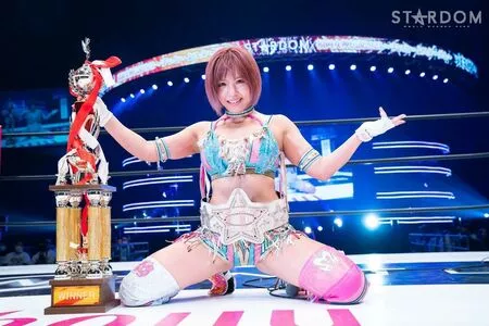 Mina Shirakawa / mina_shirakawa nude photo #1816