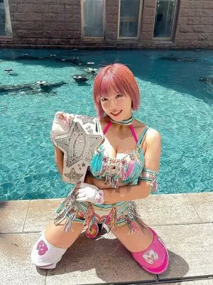 Mina Shirakawa / mina_shirakawa nude photo #1819