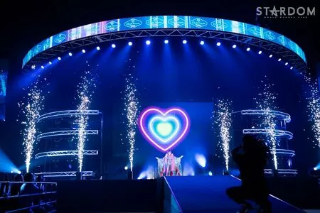 Mina Shirakawa / mina_shirakawa nude photo #1828