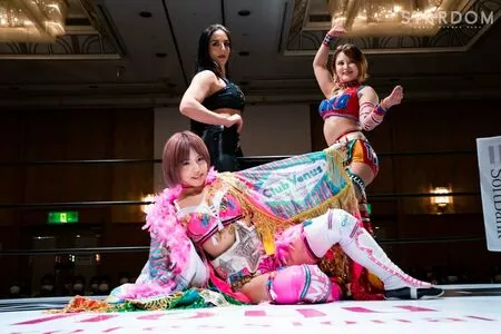 Mina Shirakawa / mina_shirakawa nude photo #1833