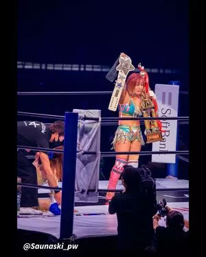 Mina Shirakawa / mina_shirakawa nude photo #1842