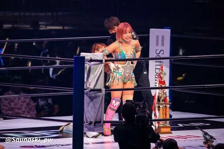 Mina Shirakawa / mina_shirakawa nude photo #1843