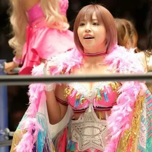 Mina Shirakawa / mina_shirakawa nude photo #1844