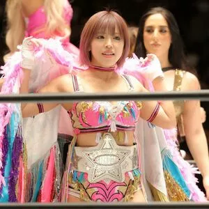 Mina Shirakawa / mina_shirakawa nude photo #1845