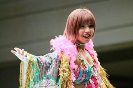 Mina Shirakawa / mina_shirakawa nude photo #1846