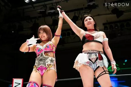 Mina Shirakawa / mina_shirakawa nude photo #1847