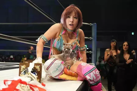 Mina Shirakawa / mina_shirakawa nude photo #1854