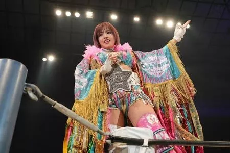 Mina Shirakawa / mina_shirakawa nude photo #1855