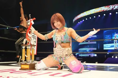 Mina Shirakawa / mina_shirakawa nude photo #1856