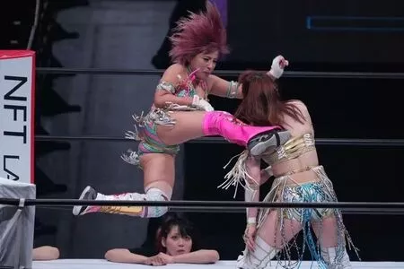 Mina Shirakawa / mina_shirakawa nude photo #1861