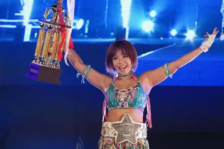 Mina Shirakawa / mina_shirakawa nude photo #1862