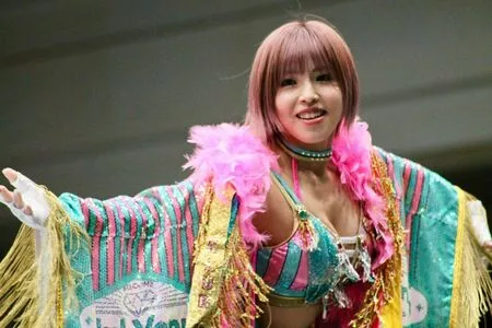 Mina Shirakawa / mina_shirakawa nude photo #1863