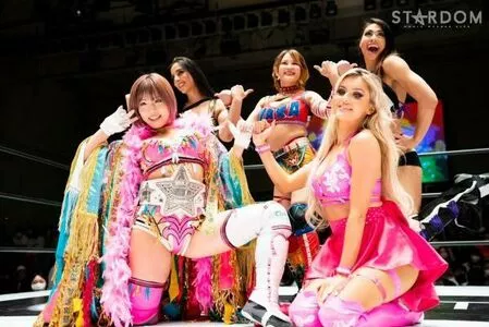 Mina Shirakawa / mina_shirakawa nude photo #1867