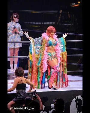 Mina Shirakawa / mina_shirakawa nude photo #1871