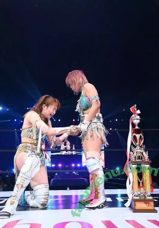 Mina Shirakawa nude photo #1718 (mina_shirakawa)