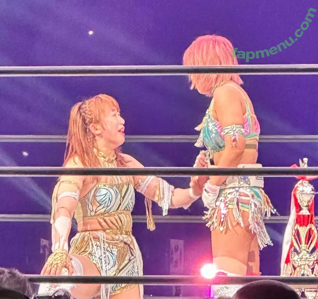 Mina Shirakawa nude photo #1721 (mina_shirakawa)