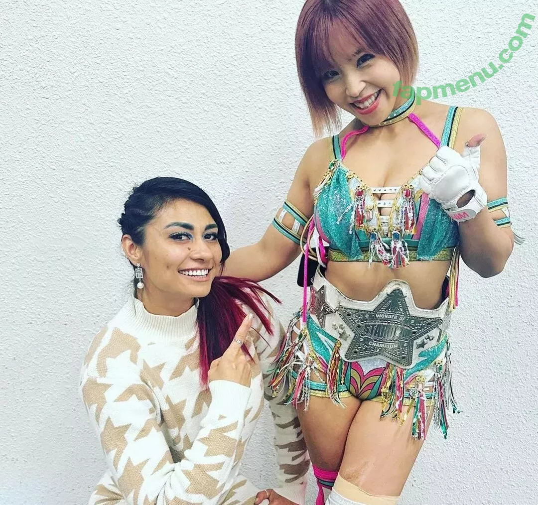 Mina Shirakawa nude photo #1725 (mina_shirakawa)