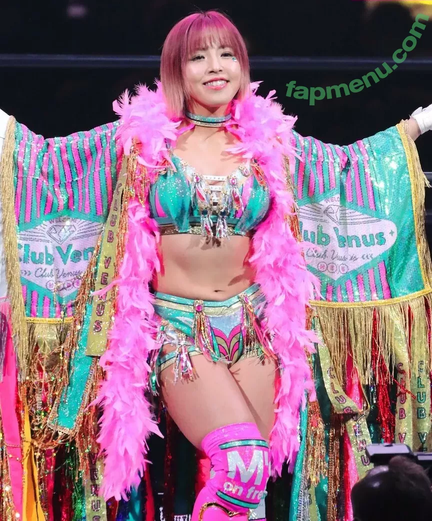 Mina Shirakawa nude photo #1730 (mina_shirakawa)