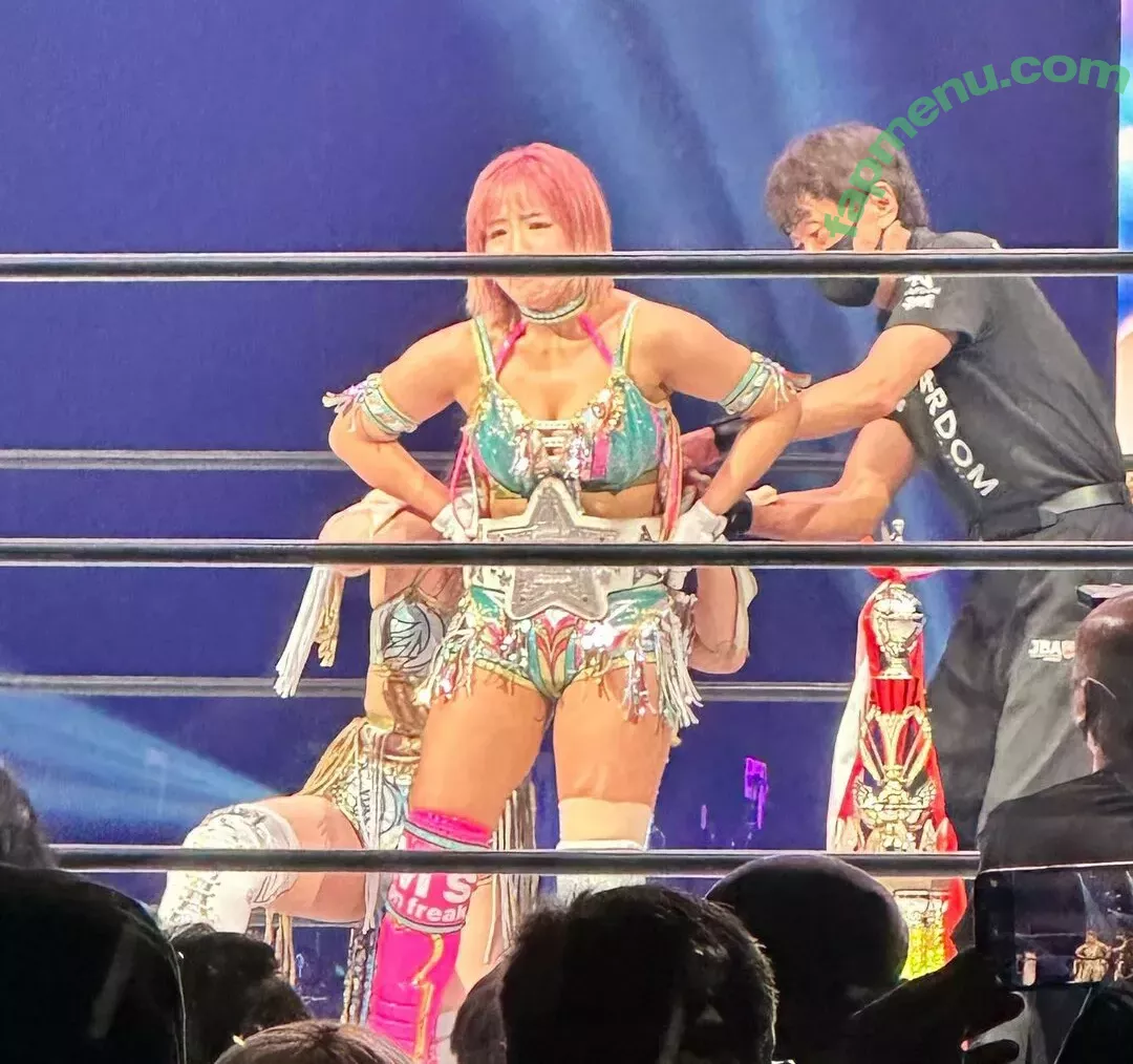 Mina Shirakawa nude photo #1731 (mina_shirakawa)