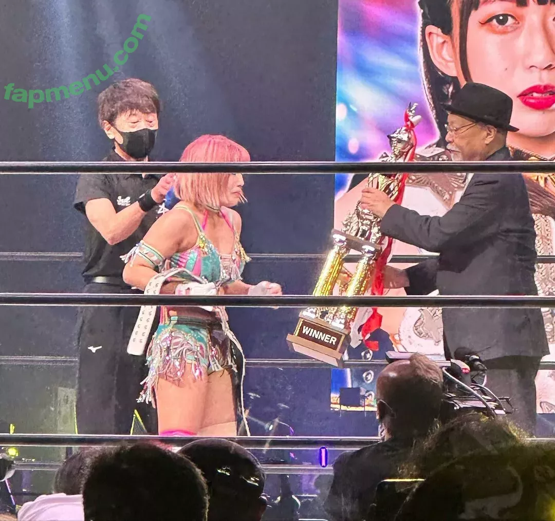 Mina Shirakawa nude photo #1732 (mina_shirakawa)