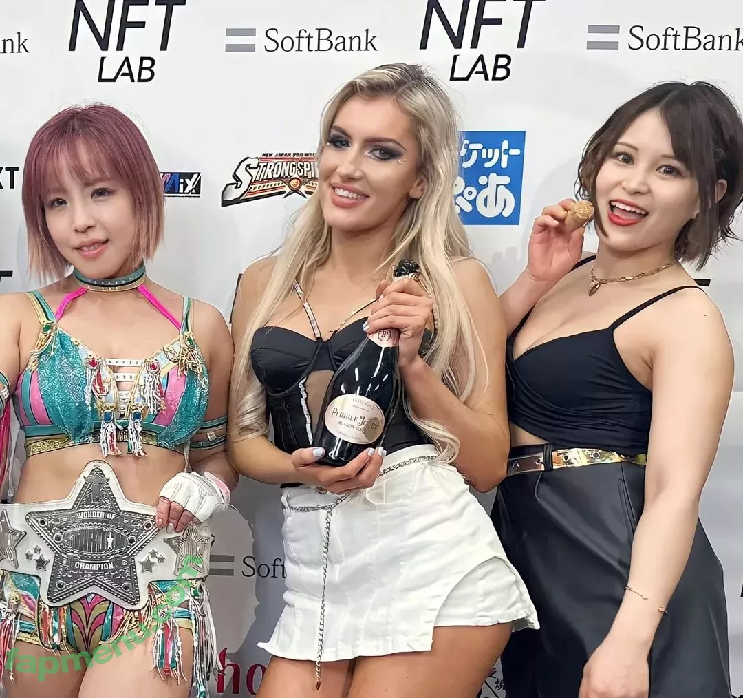 Mina Shirakawa nude photo #1733 (mina_shirakawa)