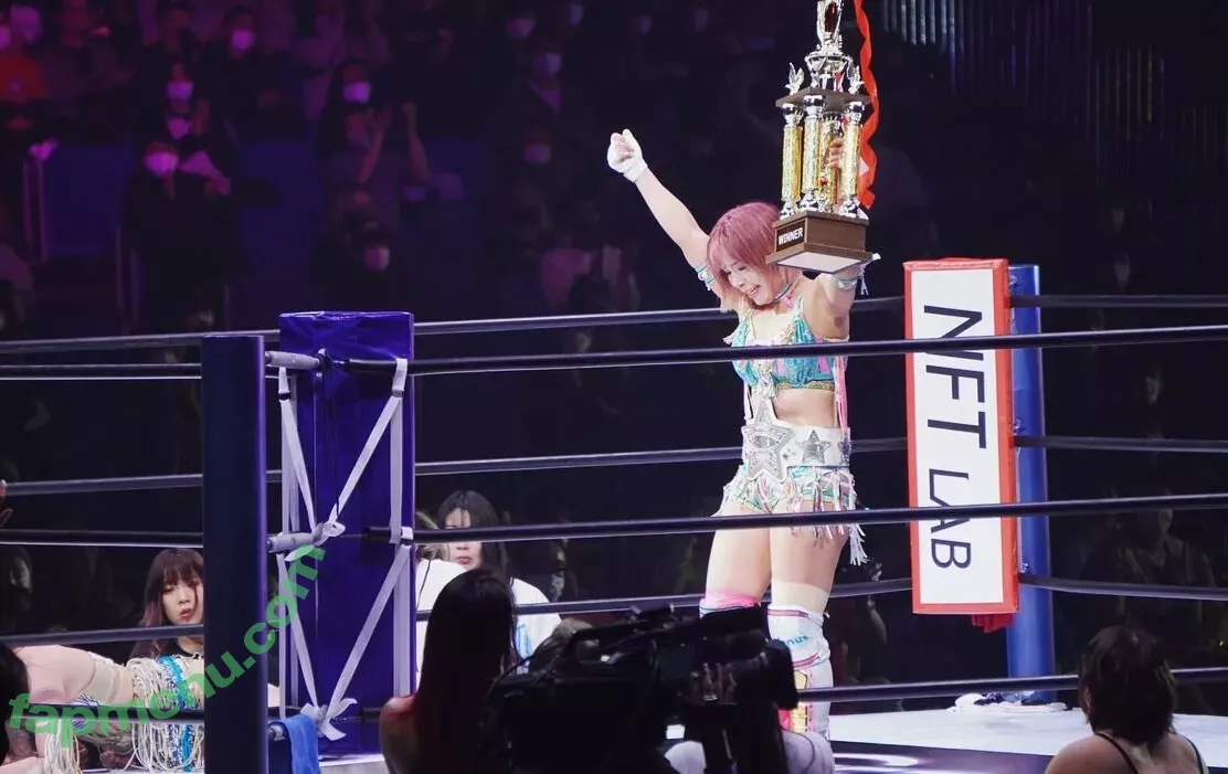 Mina Shirakawa nude photo #1735 (mina_shirakawa)