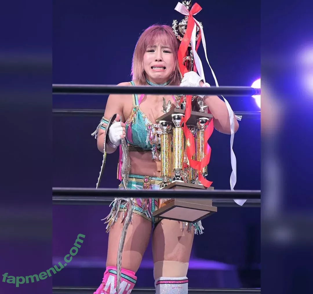 Mina Shirakawa nude photo #1738 (mina_shirakawa)