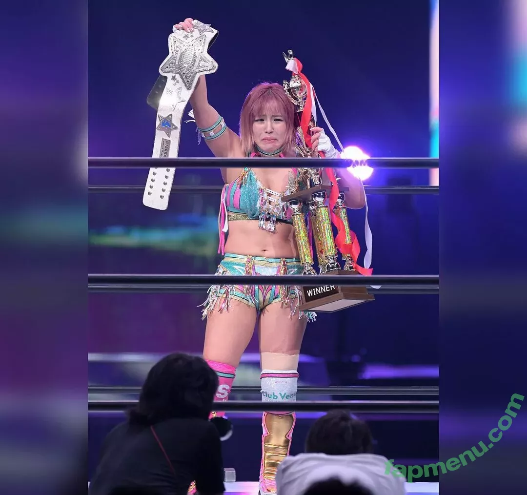 Mina Shirakawa nude photo #1740 (mina_shirakawa)