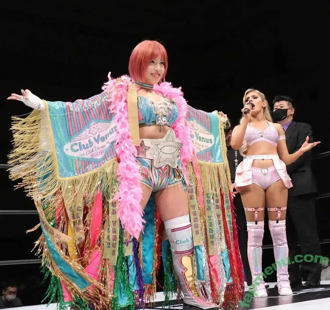 Mina Shirakawa nude photo #1747 (mina_shirakawa)