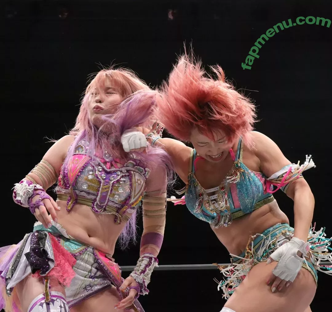 Mina Shirakawa nude photo #1748 (mina_shirakawa)