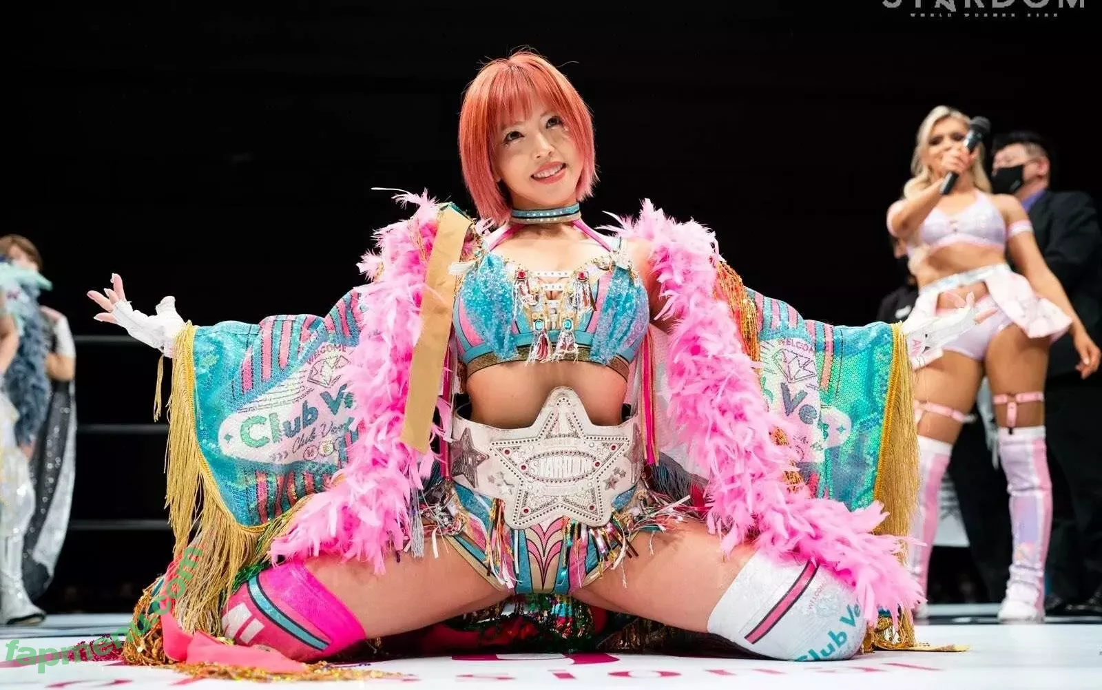 Mina Shirakawa nude photo #1750 (mina_shirakawa)