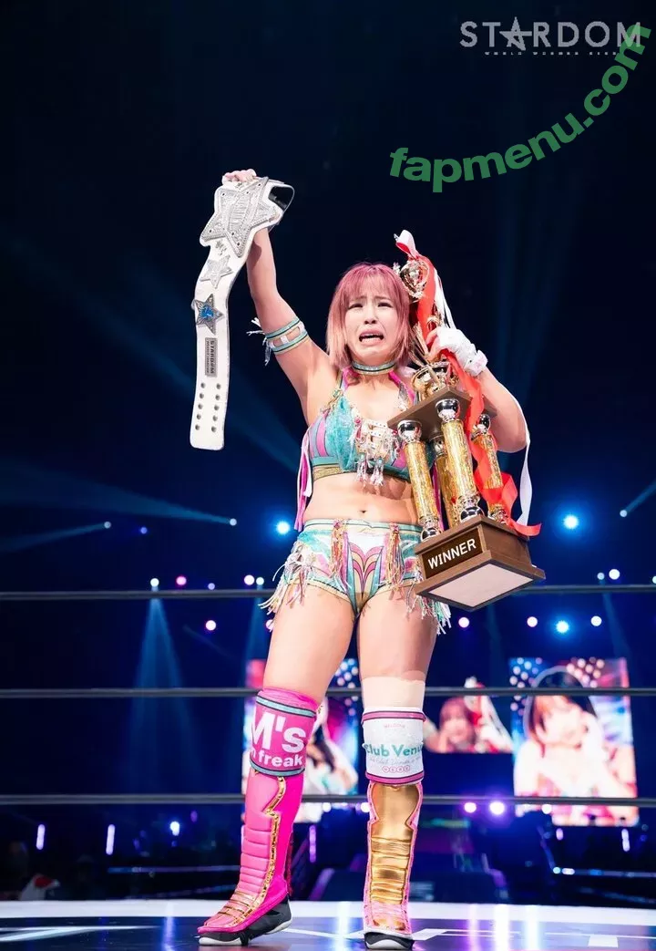 Mina Shirakawa nude photo #1751 (mina_shirakawa)