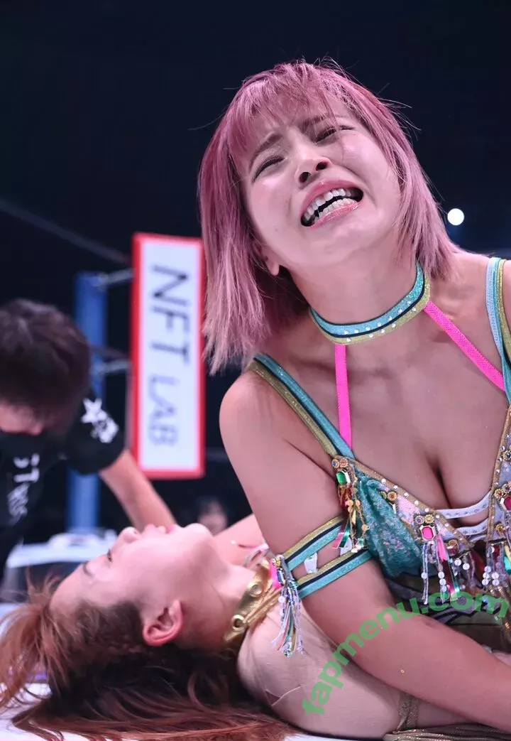 Mina Shirakawa nude photo #1755 (mina_shirakawa)