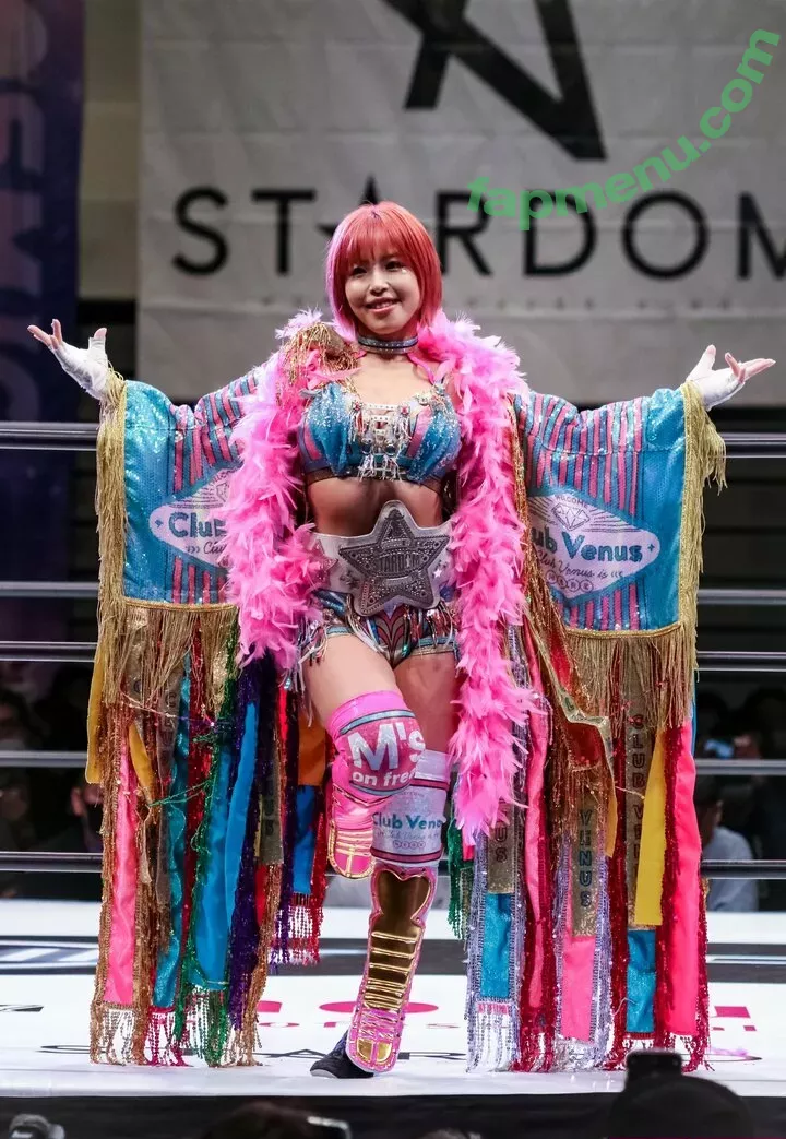 Mina Shirakawa nude photo #1758 (mina_shirakawa)