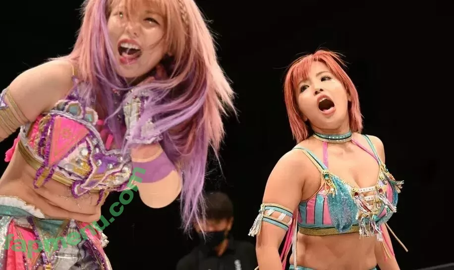 Mina Shirakawa nude photo #1760 (mina_shirakawa)