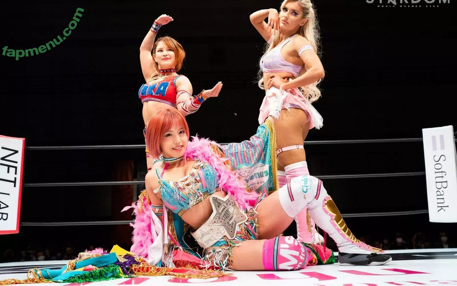 Mina Shirakawa nude photo #1761 (mina_shirakawa)