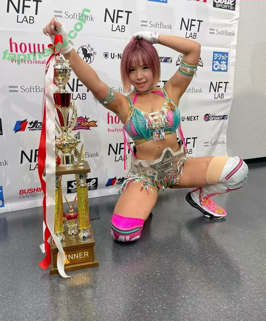 Mina Shirakawa nude photo #1763 (mina_shirakawa)